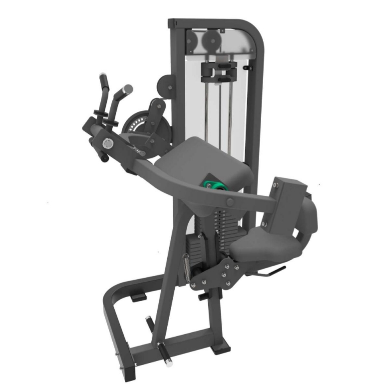 Biceps र triceps